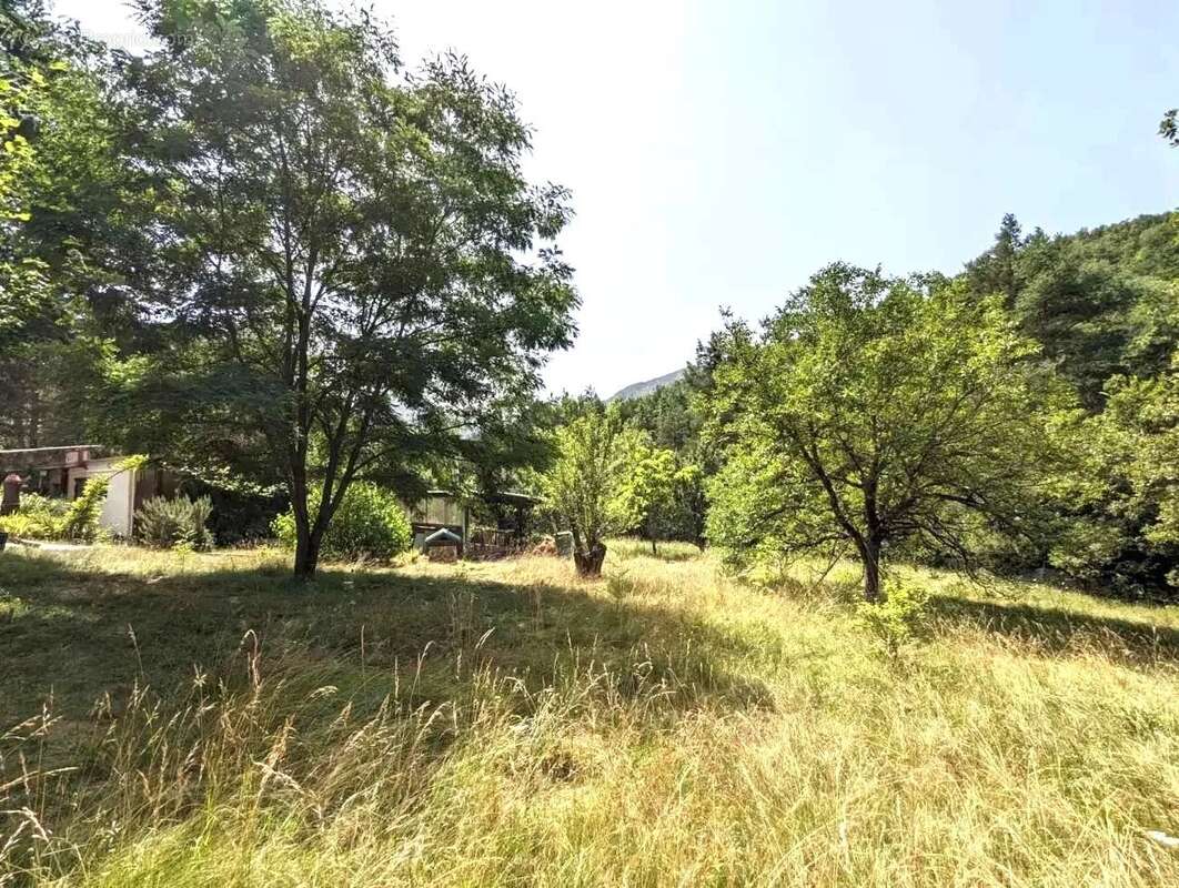 Propriété 2 maisons - Terrain 55330 m² - photo 12