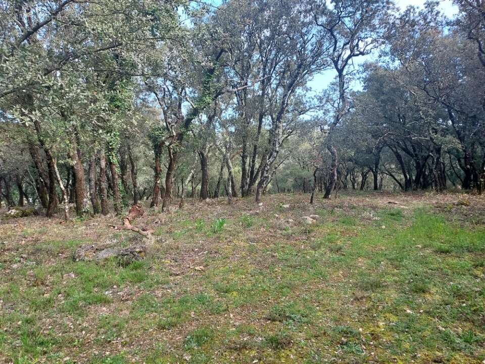 Terrain à SAINTE-ANASTASIE-SUR-ISSOLE