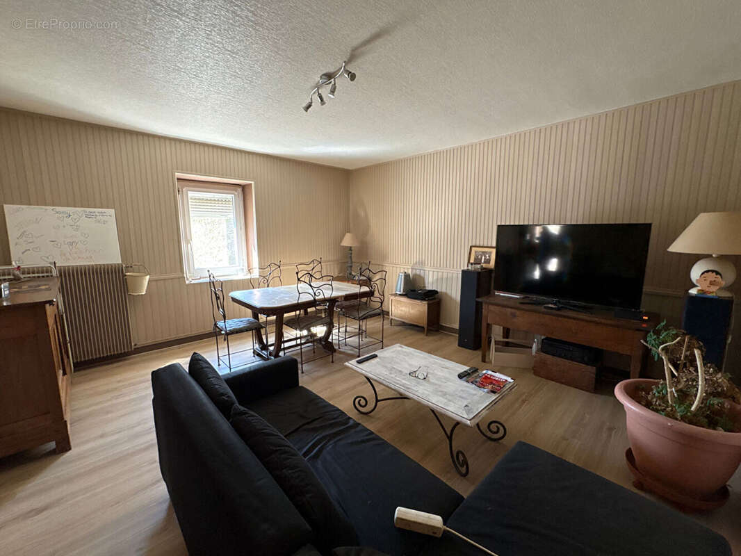 Appartement à SAINT-LEGER-SUR-ROANNE
