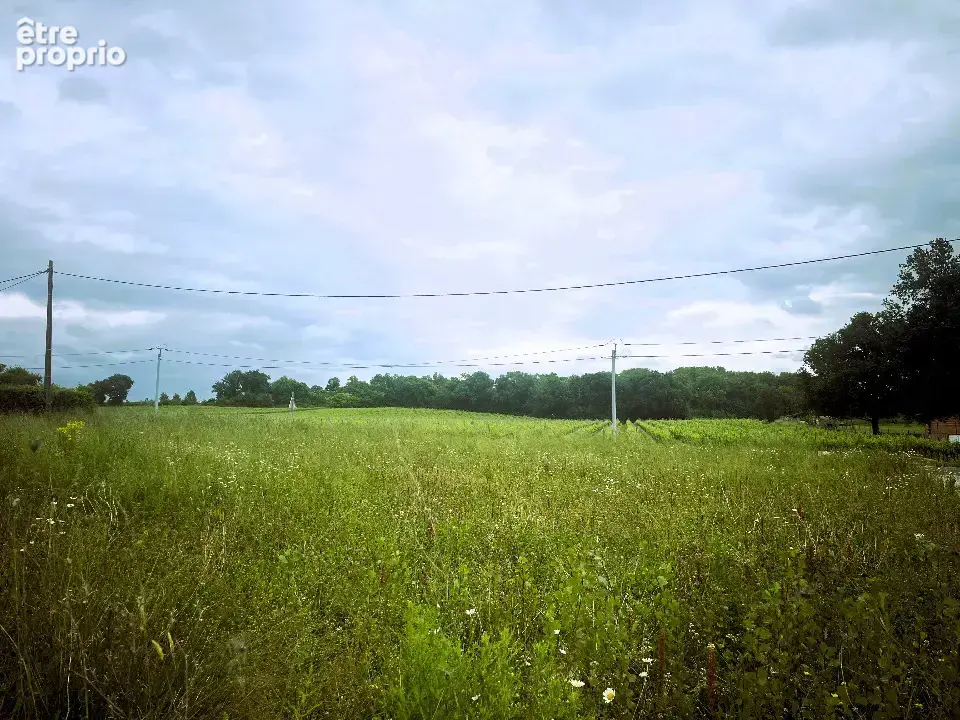 Terrain à LA LANDE-DE-FRONSAC