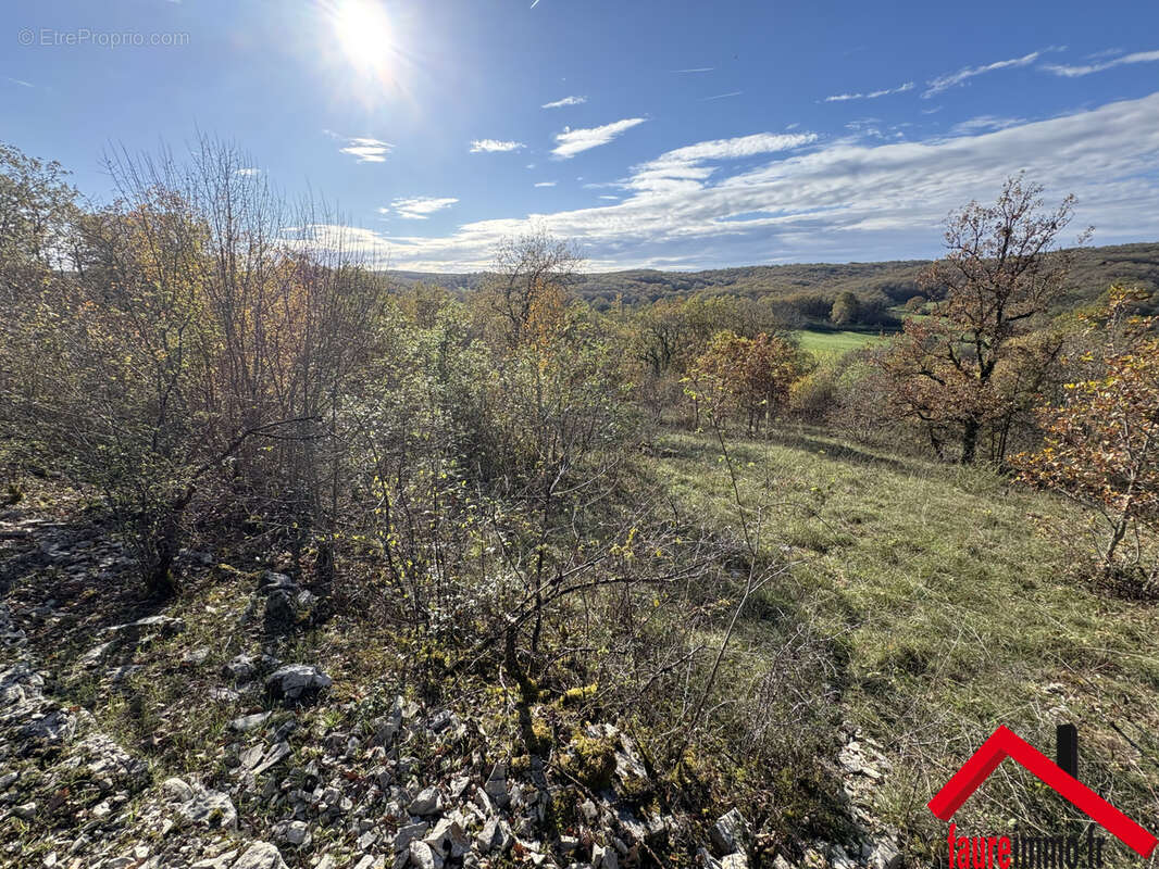 Terrain à chasteaux en correze - photo 4