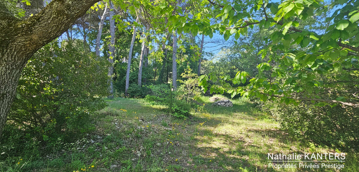 Demeure de prestige  aix en provence - photo 11