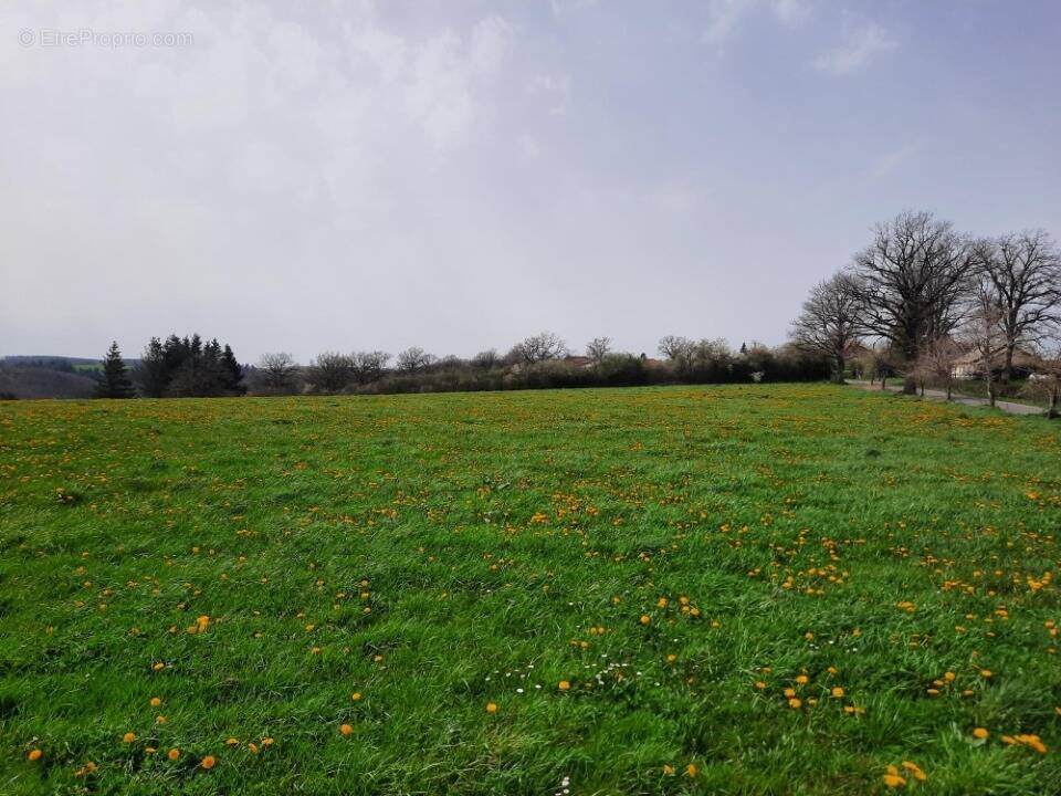 Photo Terrain à Roannes-Saint-Mary au prix de 42 000€