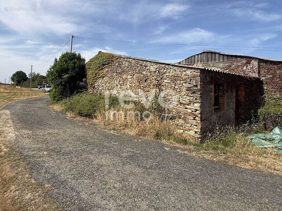 Maison à VIEILLEVIGNE