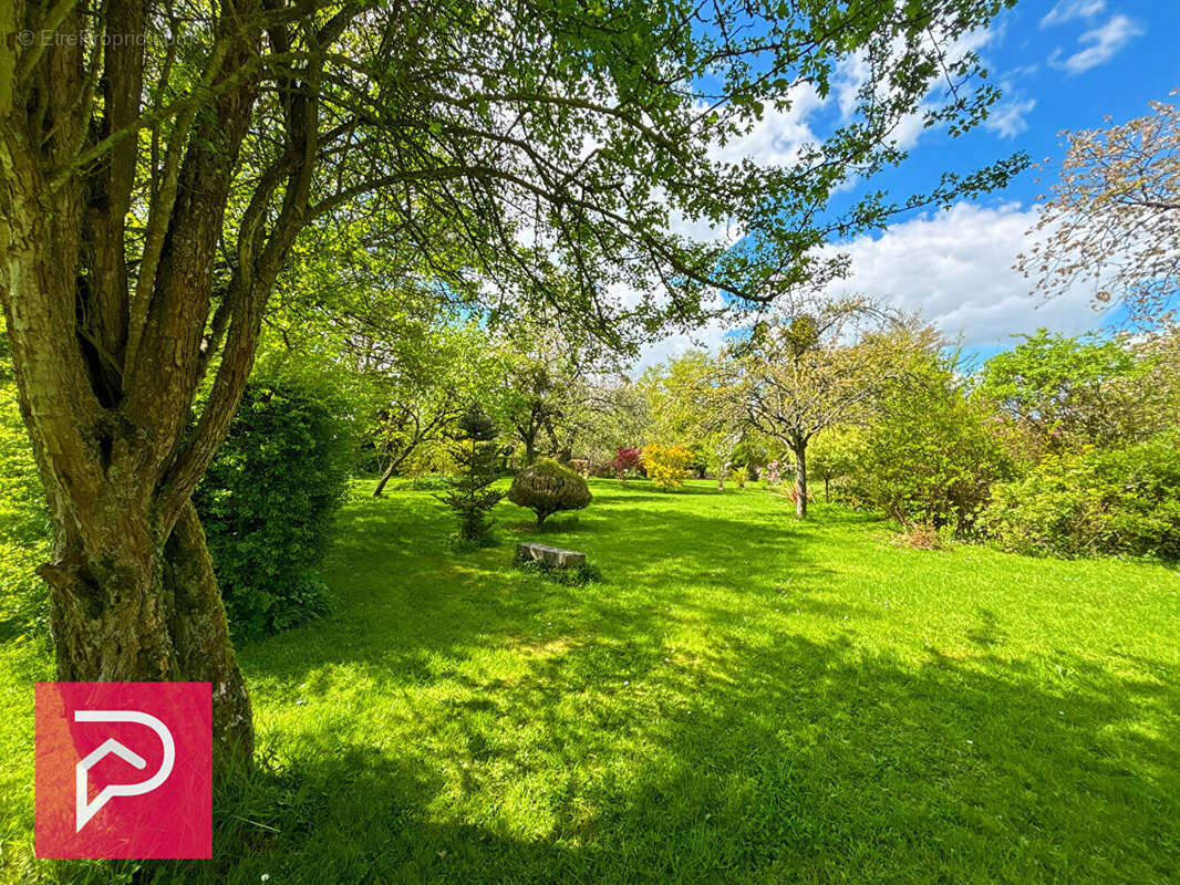 Maison à THIBERVILLE