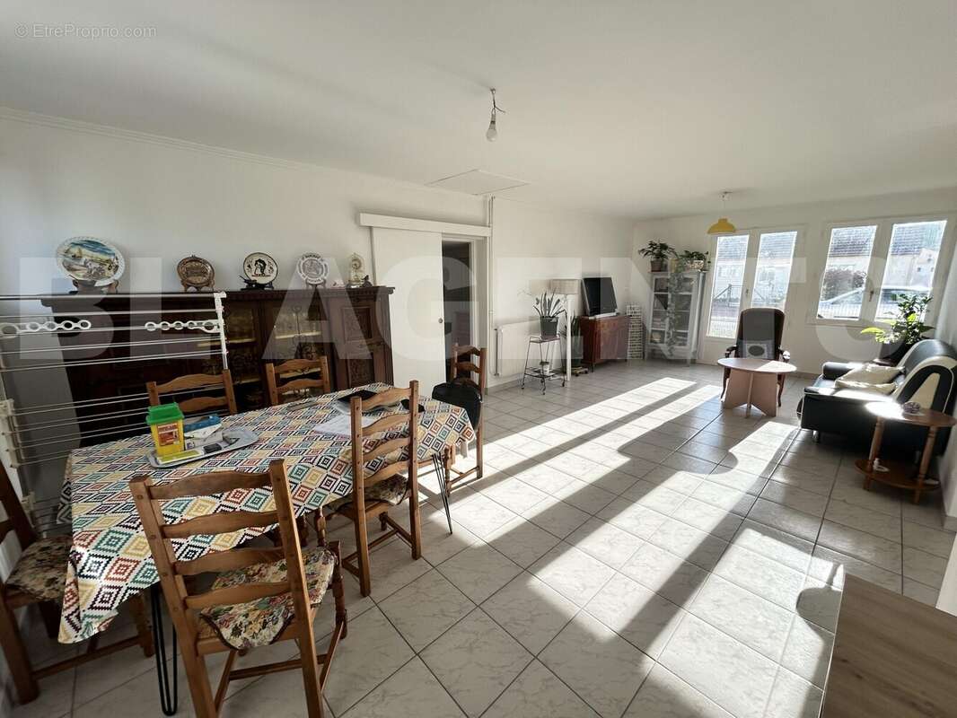 IMG_3294 - Maison à CHALETTE-SUR-LOING