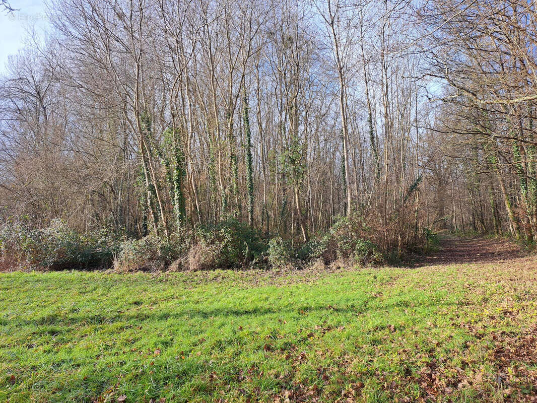 Terrain à SAINT-CALAIS