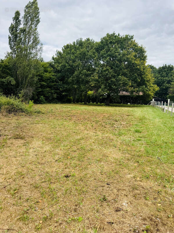Terrain 1302 m² à Oussoy-En-Gatinais  - photo 3