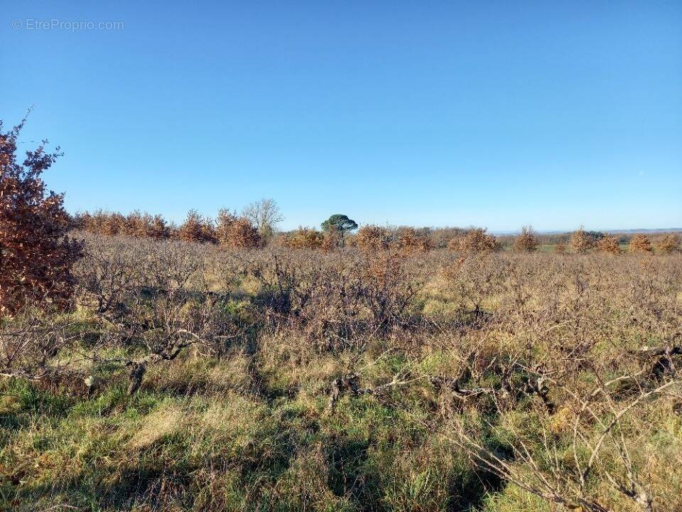 Terrain à TECOU