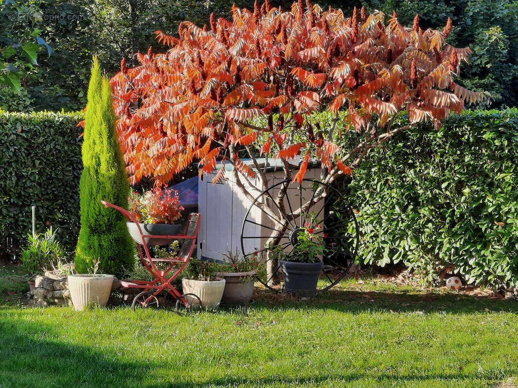 Appartement à SAINTE-FOY-L'ARGENTIERE