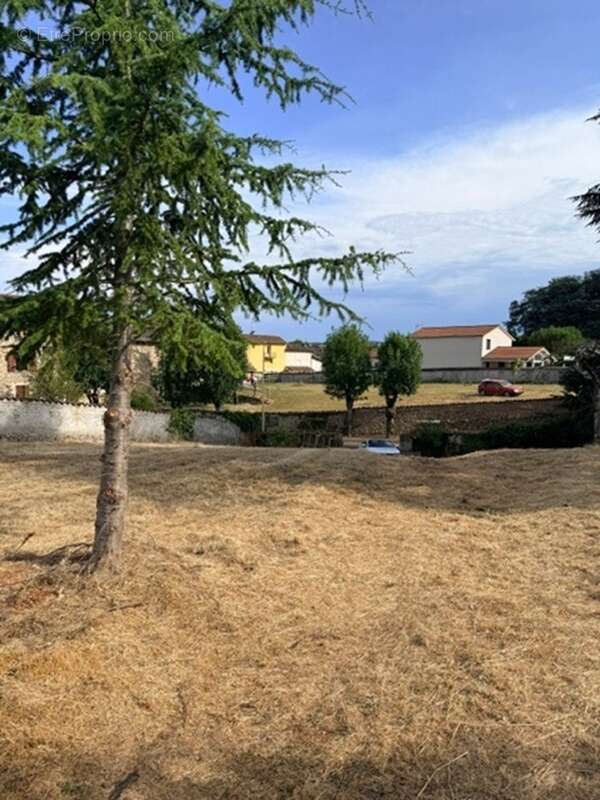 Terrain 755 m² à Bas-En-Basset  - photo 3