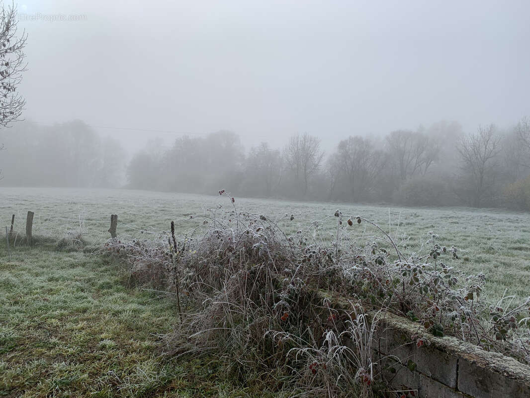 Maison à MONT-SUR-MEURTHE