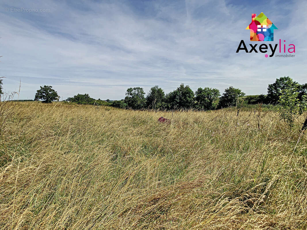 A vendre - les guerreaux - longère avec terrain 9419 m2 - photo 14