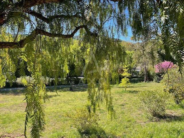 Terrain à CLERMONT-L'HERAULT