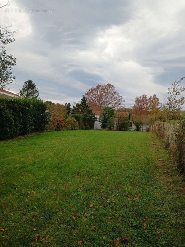 Terrain à SAINT-PEE-SUR-NIVELLE