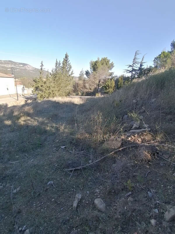 Terrain à Bâtir 986 m2 à Ribaute - photo 6