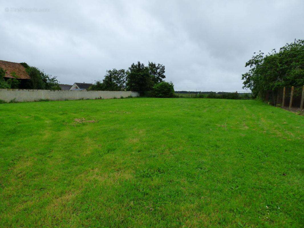 Maison à TREMBLAY-LES-VILLAGES