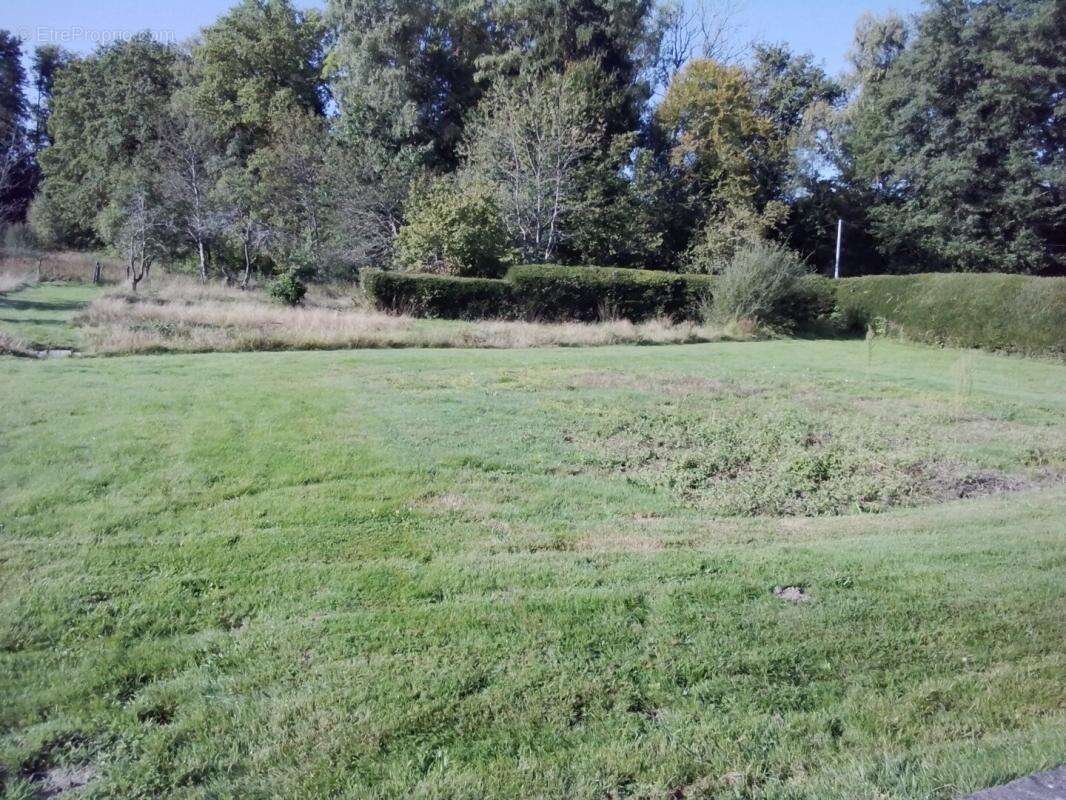  Maison familiale 125 m² sur terrain de 9 454 m² avec bois et cours - photo 14