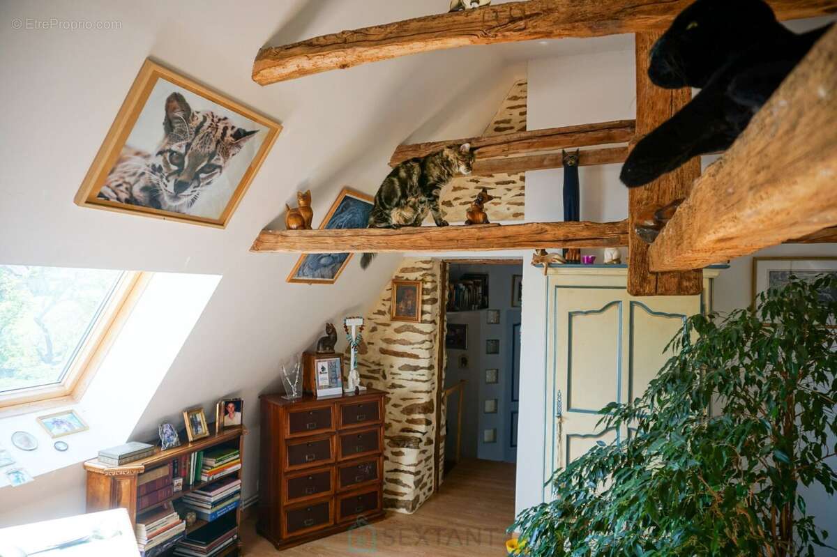 Charmante maison en pierre du XVIIe siècle située au coeur du paisible et pittoresque Périgord vert. - photo 19