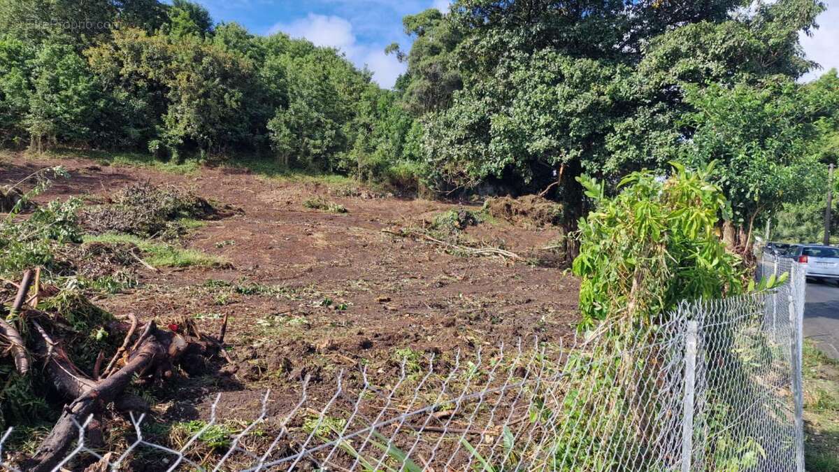 Terrain à LES ABYMES