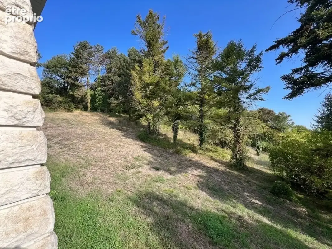 Maison rénovée 5 chambres - parc boisé - 7 min Châtellerault - photo 19