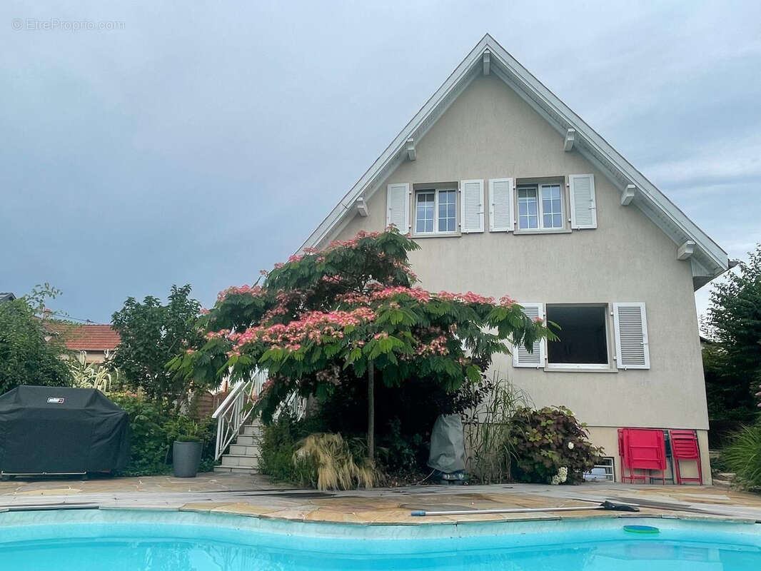 Pfastatt grande propriété familiale - photo 3