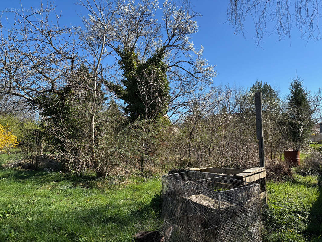 Terrain à bâtir de 650 m2 - proche centre de La Ferté Saint Aubin - photo 3