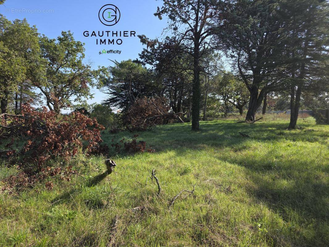 Terrain à GUJAN-MESTRAS