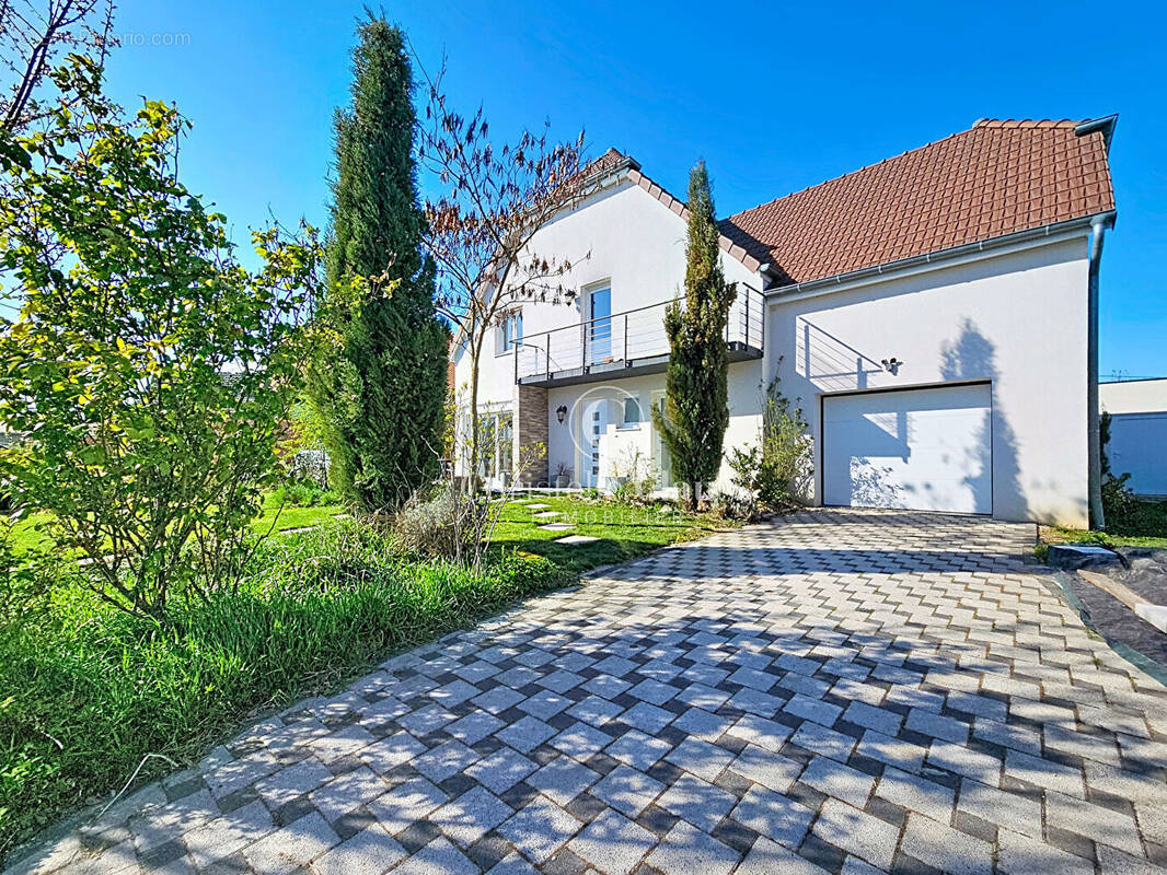 Maison à RIBEAUVILLE