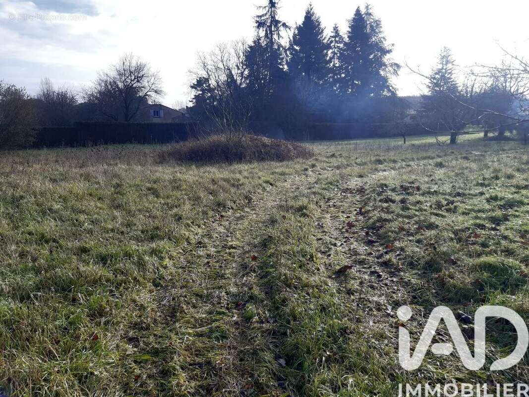 Photo 2 - Terrain à BRIE