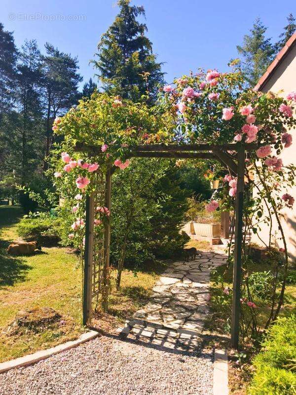 Maison à PRUNIERS-EN-SOLOGNE