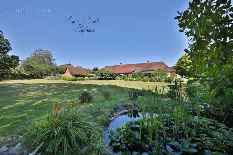 Maison à MONTPONT-EN-BRESSE