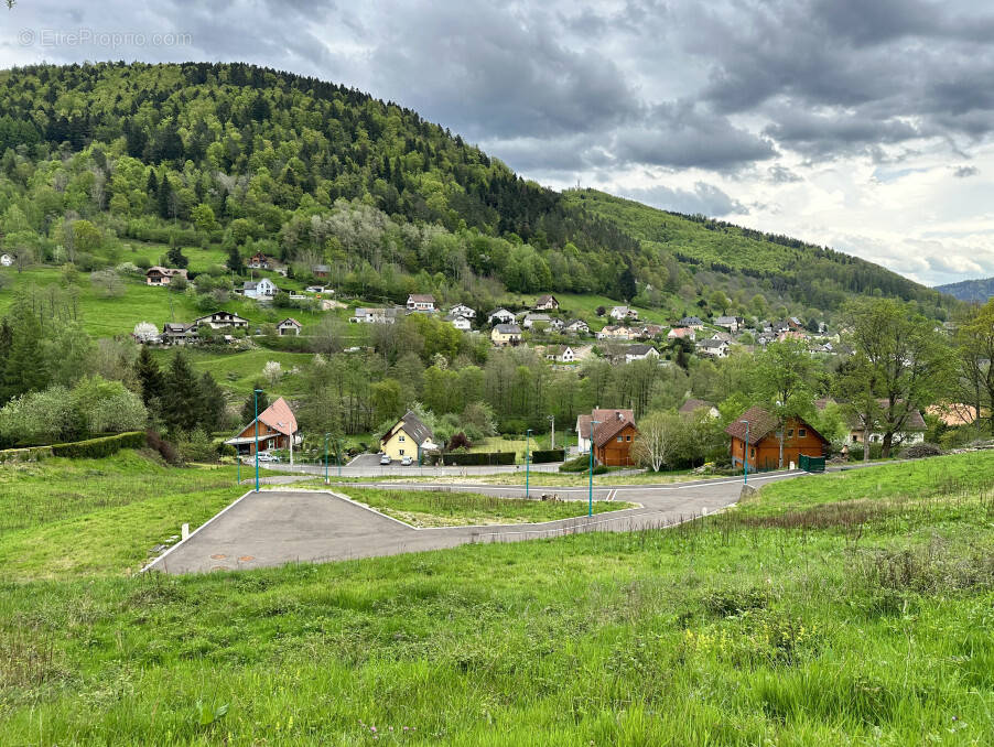 Terrain à SAINT-AMARIN