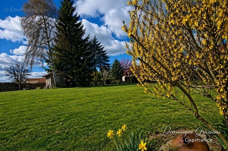 Un havre de paix sur 1500 m² de terrain – charme et tranquillité absolue à Leignecq (42380) - photo 4