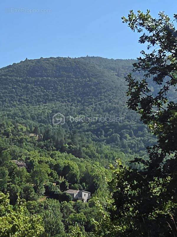 Maison 4 pièces, plein cœur nature, terrain de 1700 m2 - photo 17