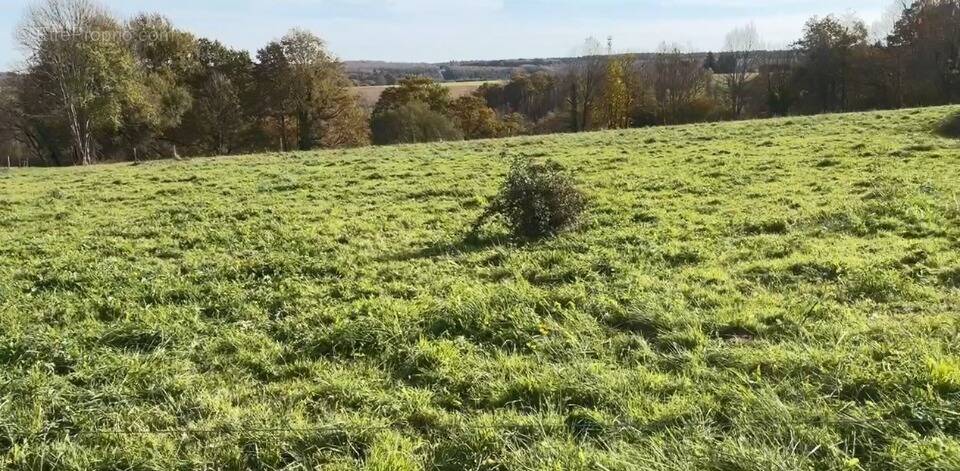 Terrain à VIEILLEVIGNE