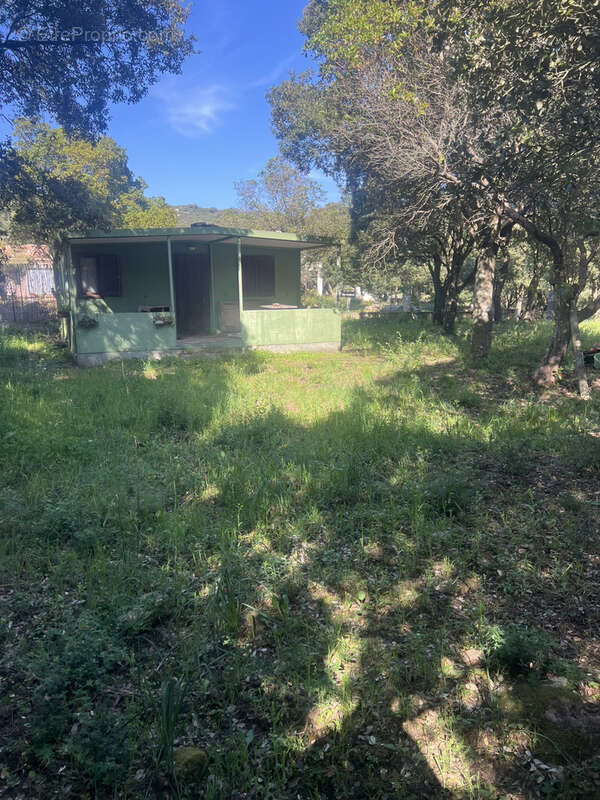 Terrain à GIUNCHETO