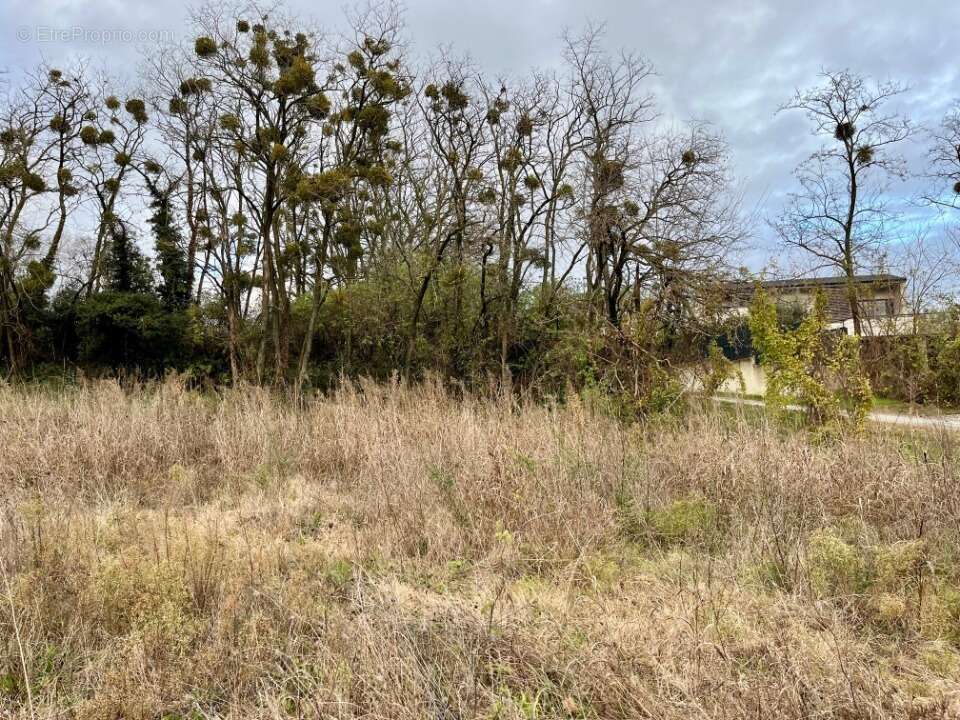 Terrain à MONTBOUCHER-SUR-JABRON