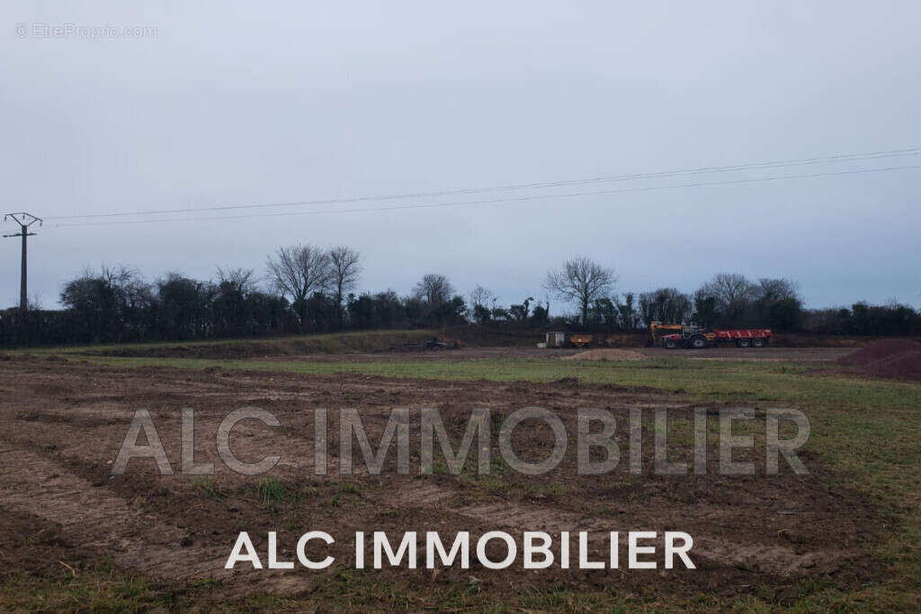 Terrain à LE MERLERAULT