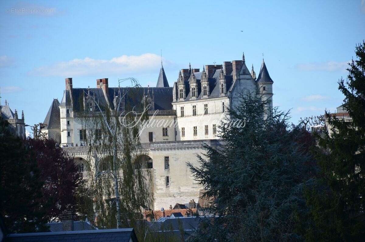 Propriete à vendre 32 pièces AMBOISE (37) - photo 30