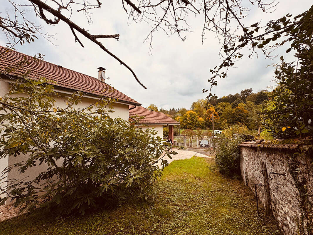 Maison à REGNY