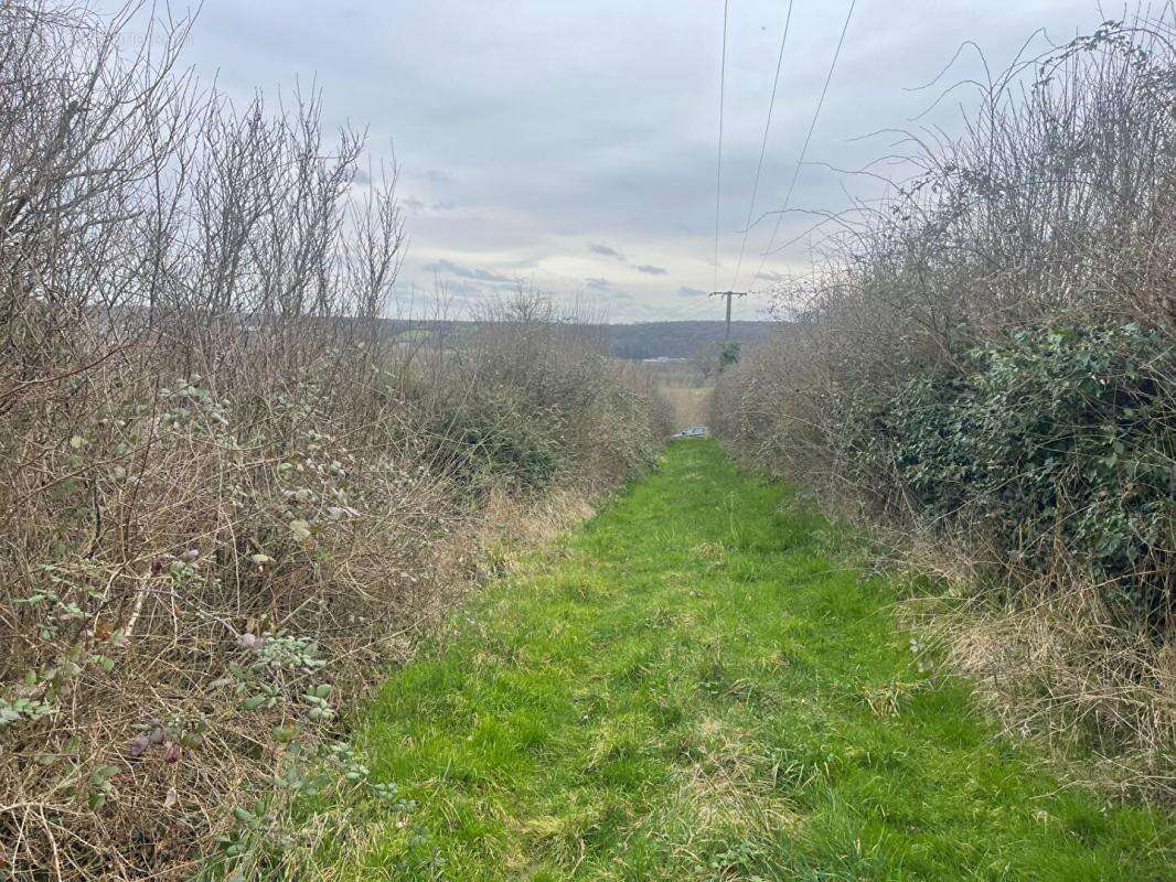 Terrain à CHATEAU-RENARD