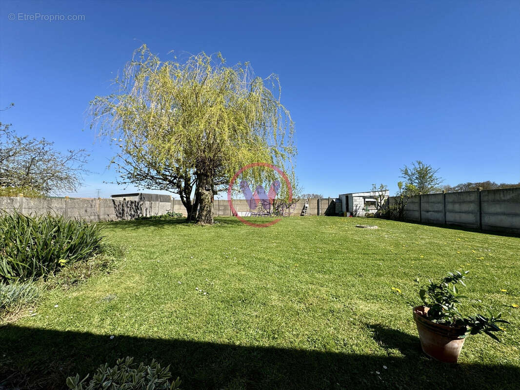 Maison à NEUVILLE-VITASSE