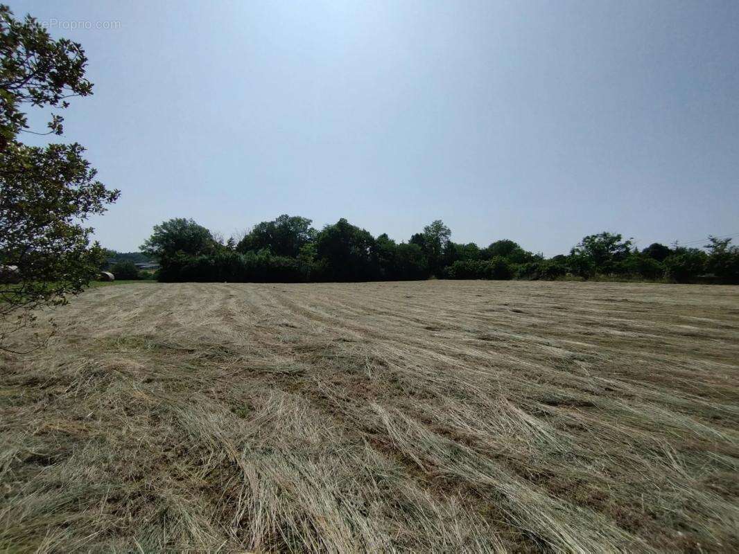 Terrain à CASTELNAU-MONTRATIER