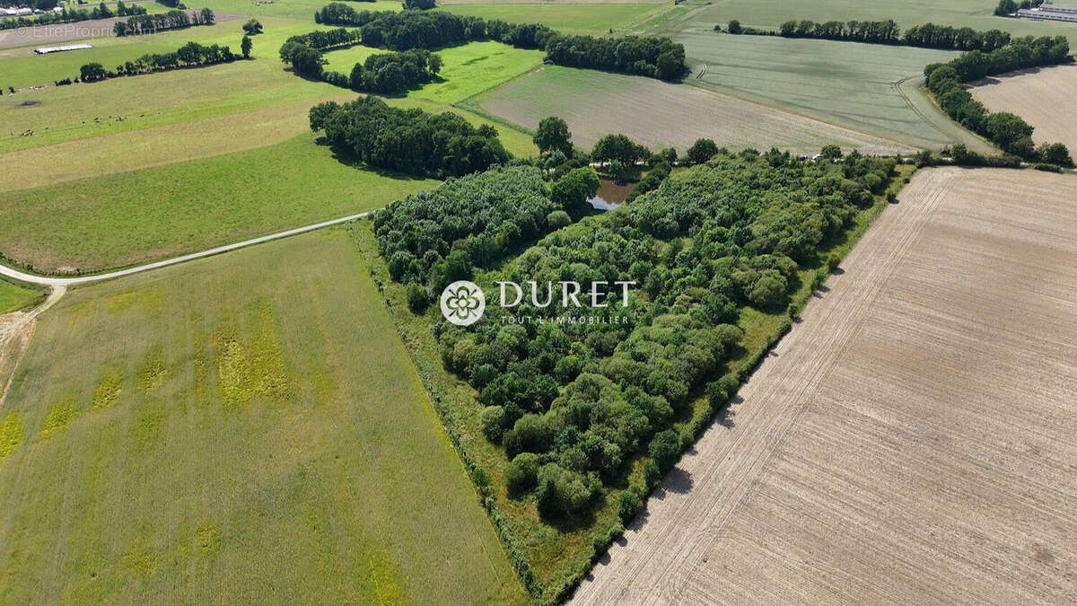 Terrain à CORCOUE-SUR-LOGNE