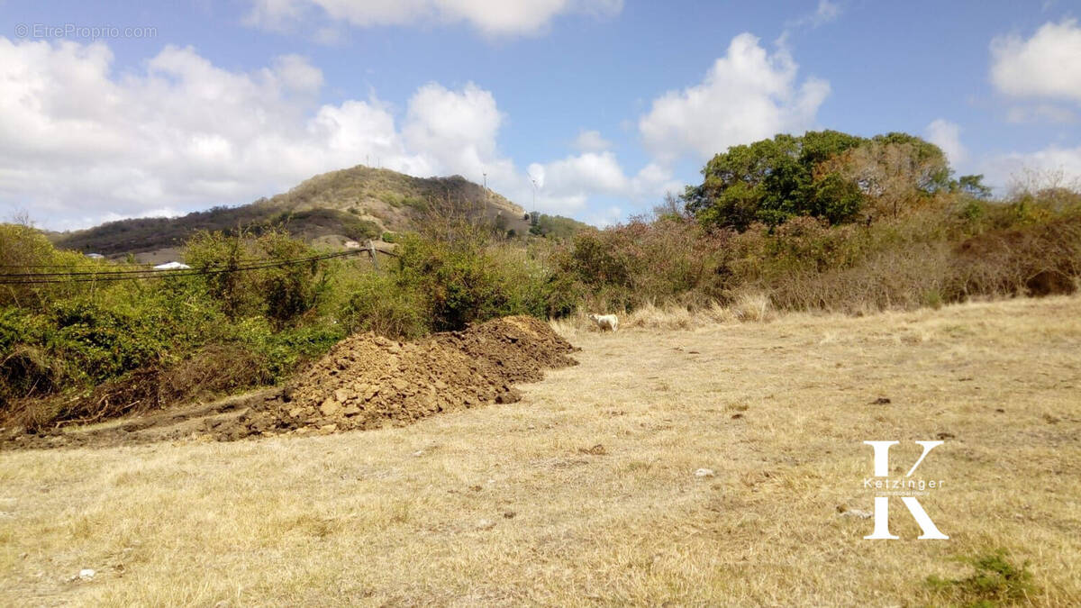 Terrain à LE VAUCLIN