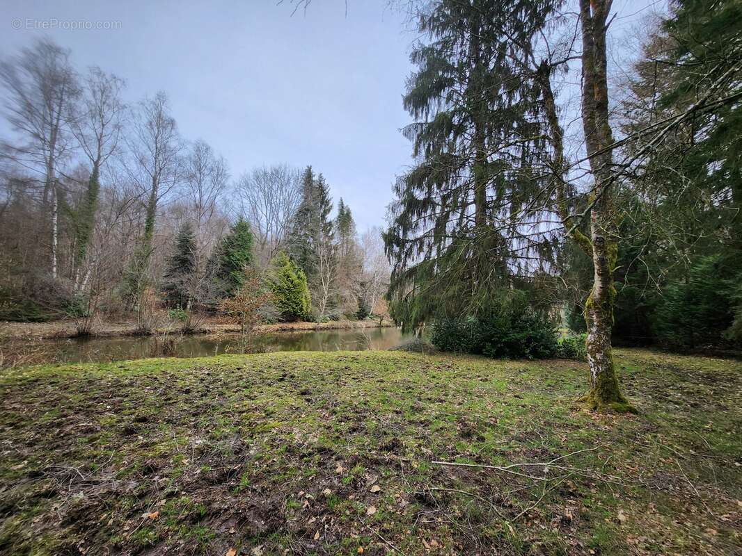 Terrain à BUSSIERE-GALANT