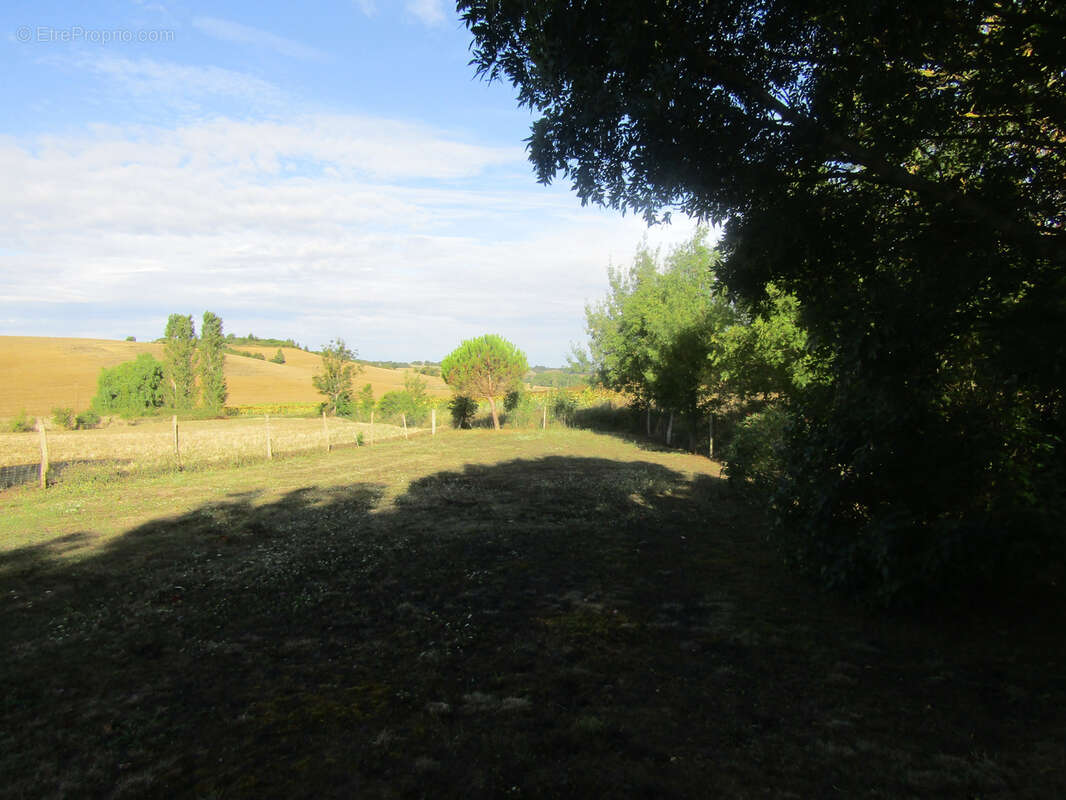 Terrain à SAINT-FELIX-LAURAGAIS