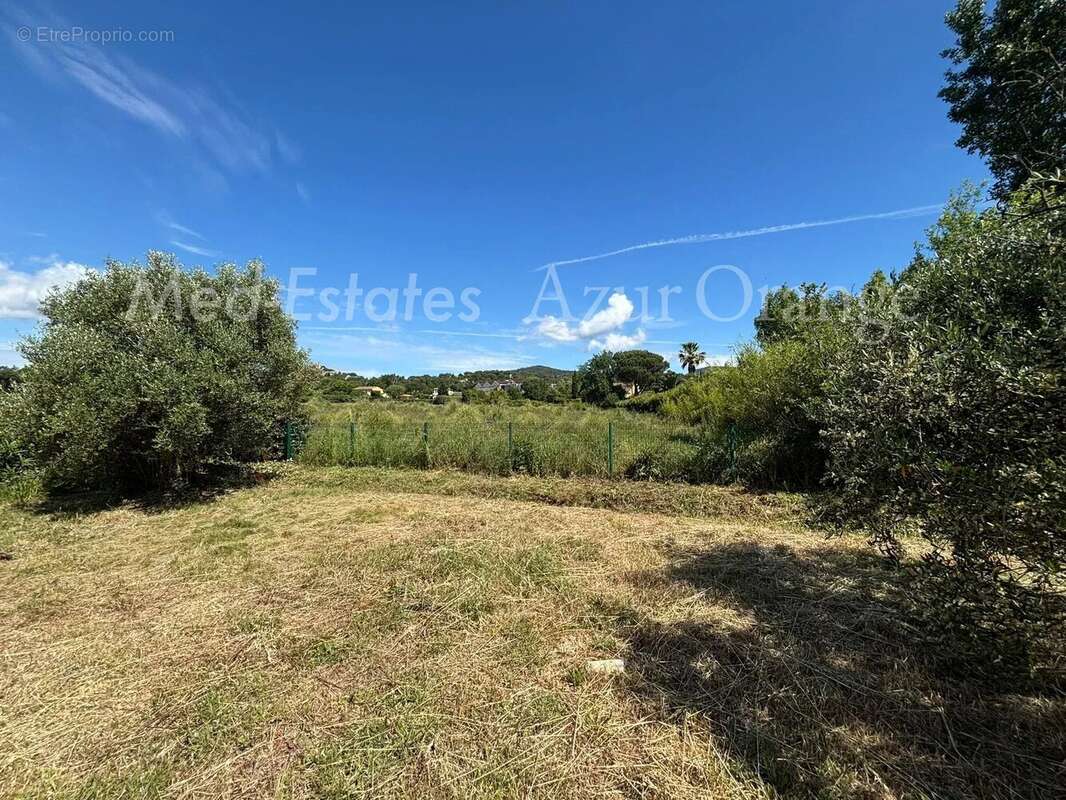 Terrain à GRIMAUD