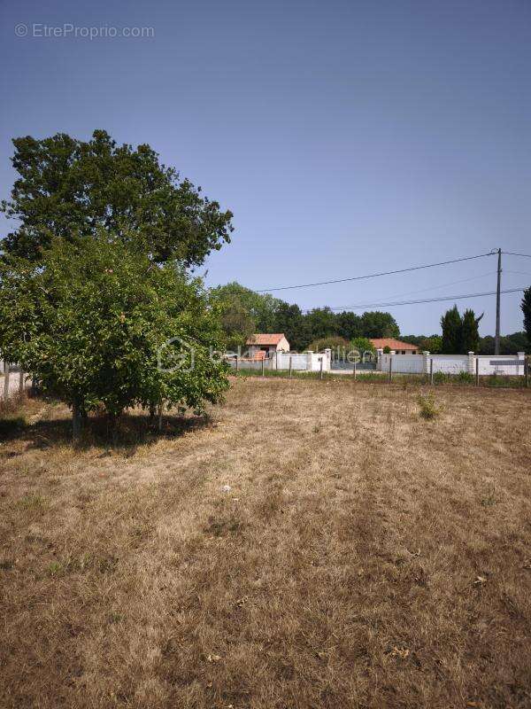 Terrain constructible - photo 3